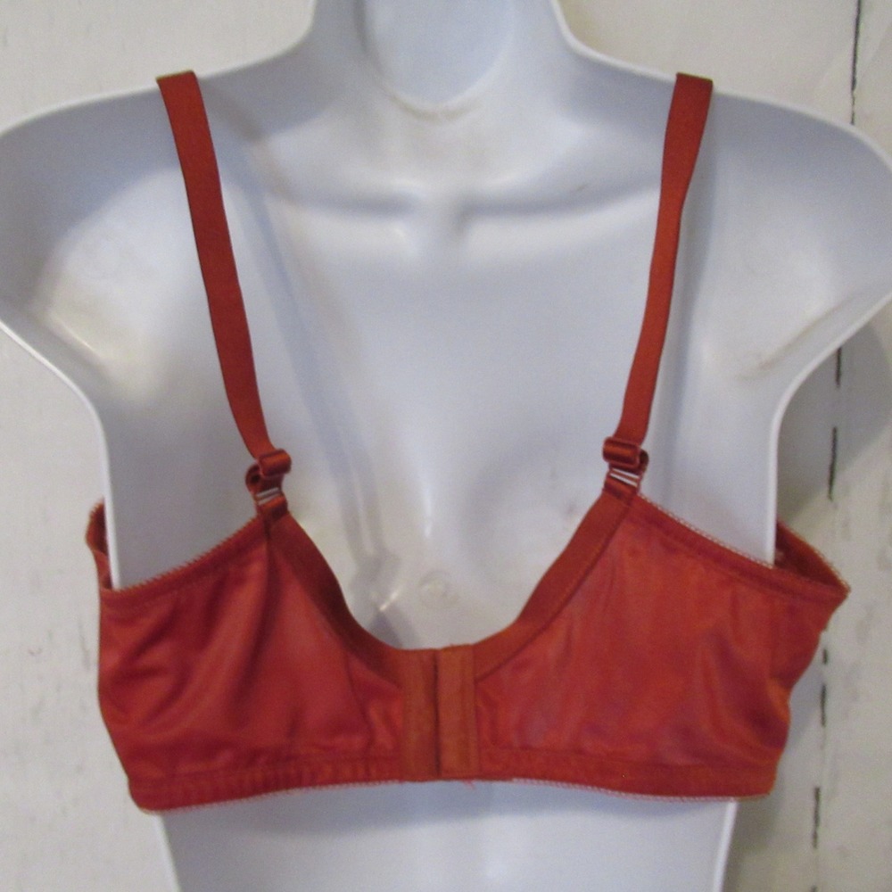 HSIA Bra 36C Rust Lace Sheer Back Closure Underwire